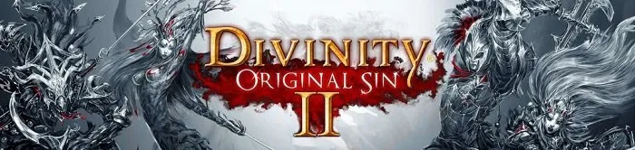 Divinity Original Sin II Download Divinity Original Sin II Download